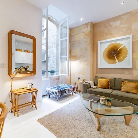 Apartment Superbe Bordelais Plein De Charme Et Lumineux Avec Terrasse Bordeaux